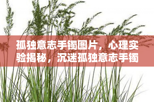 沉迷孤独意志手镯的细思极恐自我麻醉图片