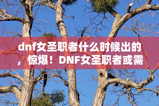 DNF女圣职者或需氪金5万解锁图片