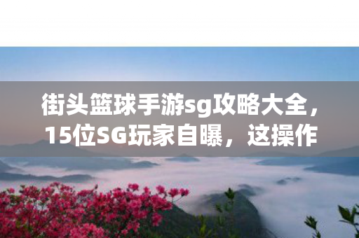 街头篮球手游sg攻略大全图片