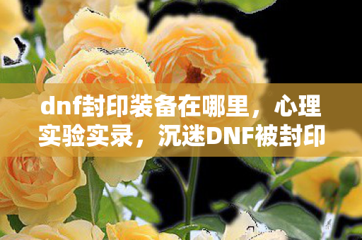 沉迷DNF被封印礼盒的细思极恐自我麻醉史图片