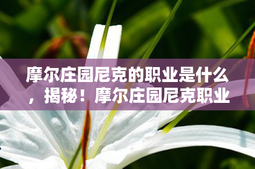 摩尔庄园尼克职业的5大心得图片