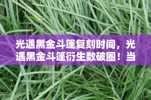 当二次元信仰撞碎三次元钱包的意想不到图片