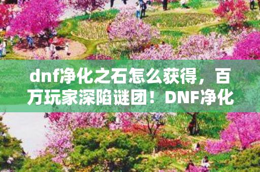 DNF净化之石背后竟藏着破防真相图片