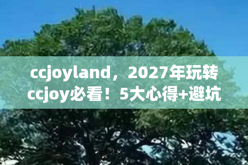 2027年玩转ccjoy必看图片
