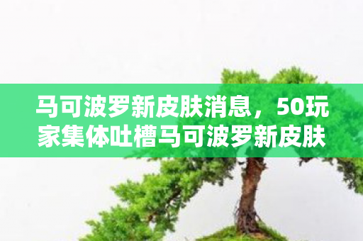 50玩家集体吐槽马可波罗新皮肤图片