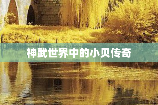 神武世界中的小贝传奇