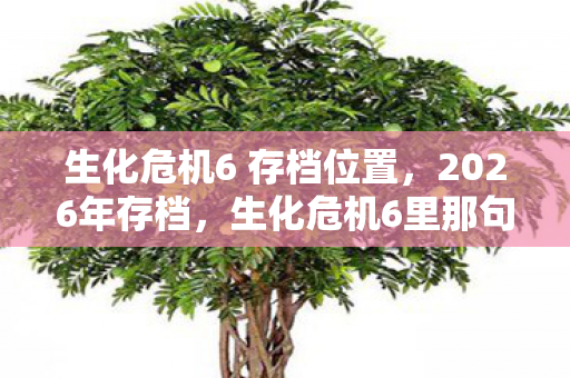 生化危机6 存档位置图片