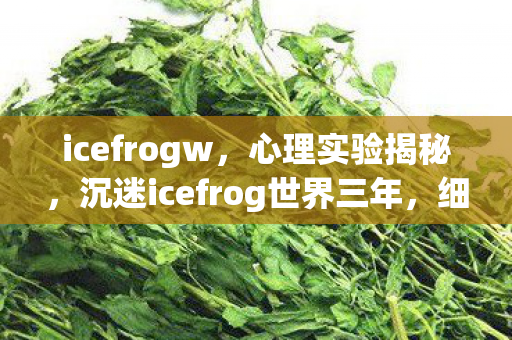 沉迷icefrog世界三年图片