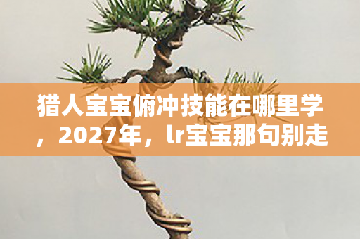 猎人宝宝俯冲技能在哪里学图片