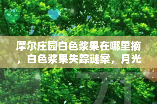 摩尔庄园白色浆果在哪里摘图片