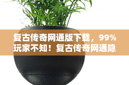 复古传奇网通隐藏地图竟藏惊天秘密图片