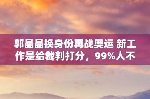 郭晶晶换身份再战奥运 新工作是给裁判打分图片