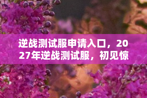 2027年逆战测试服图片