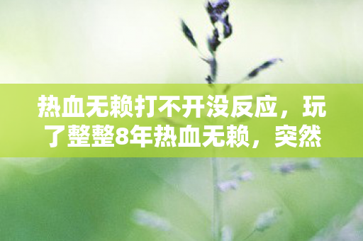 热血无赖打不开没反应图片