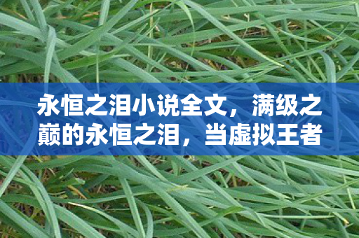 当虚拟王者跌入现实深渊的灵魂震颤图片