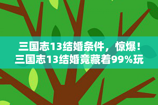 三国志13结婚竟藏着99图片