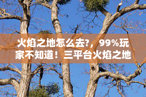 三平台火焰之地移动速度差3倍图片