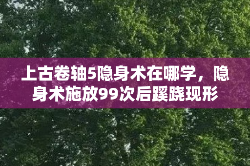 隐身术施放99次后蹊跷现形图片