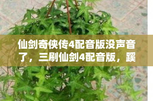 仙剑奇侠传4配音版没声音了图片