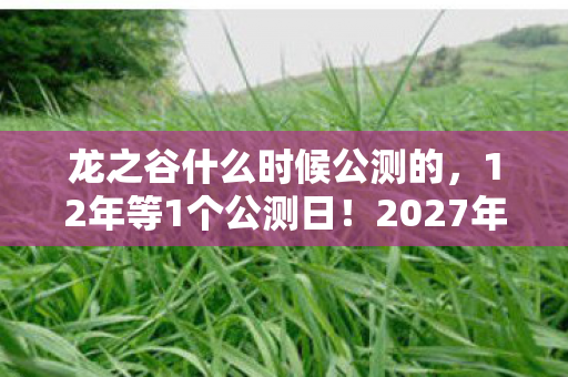 龙之谷什么时候公测的图片