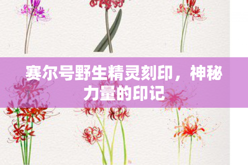 赛尔号野生精灵刻印，神秘力量的印记