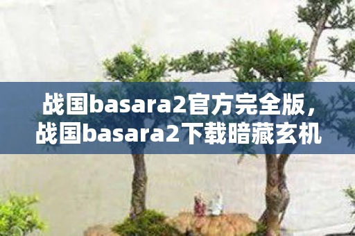 战国basara2下载暗藏玄机图片