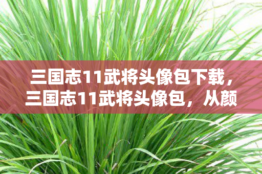 三国志11武将头像包下载图片