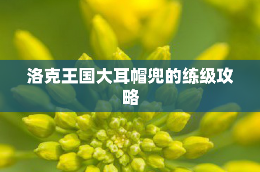 洛克王国大耳帽兜的练级攻略