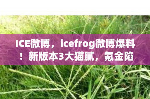 icefrog微博爆料图片