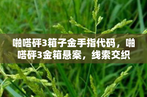 啪嗒砰3箱子金手指代码图片