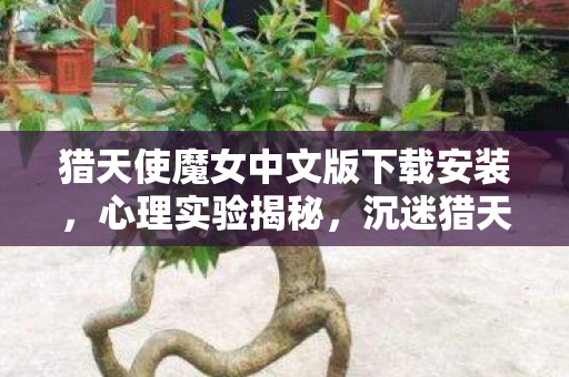 猎天使魔女中文版下载安装图片