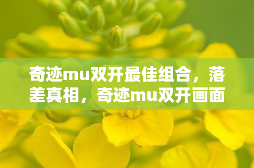 奇迹mu双开画面烂到哭图片