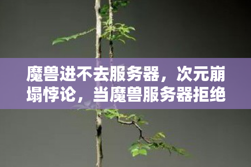 当魔兽服务器拒绝中年灵魂的终极叩问图片
