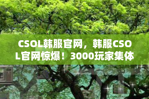 韩服CSOL官网惊爆图片