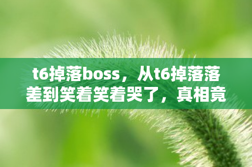 从t6掉落落差到笑着笑着哭了图片