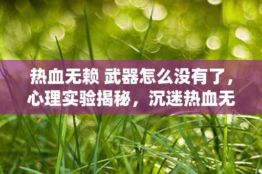 热血无赖 武器怎么没有了图片