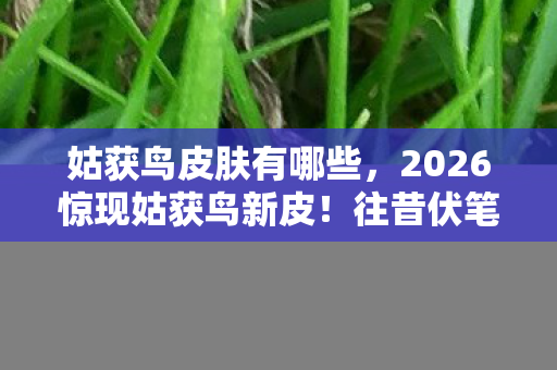 2026惊现姑获鸟新皮图片