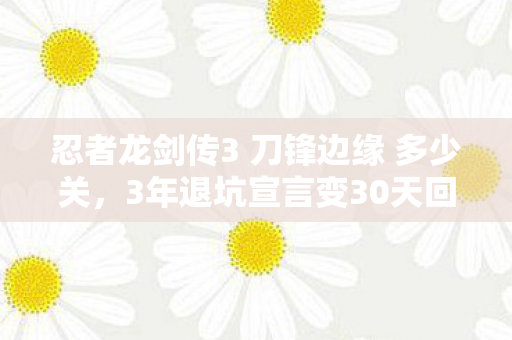 忍者龙剑传3 刀锋边缘 多少关图片