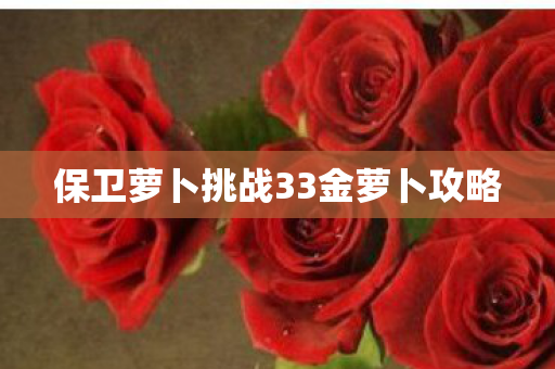 保卫萝卜挑战33金萝卜攻略