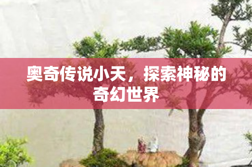 奥奇传说小天，探索神秘的奇幻世界
