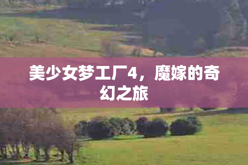 美少女梦工厂4，魔嫁的奇幻之旅