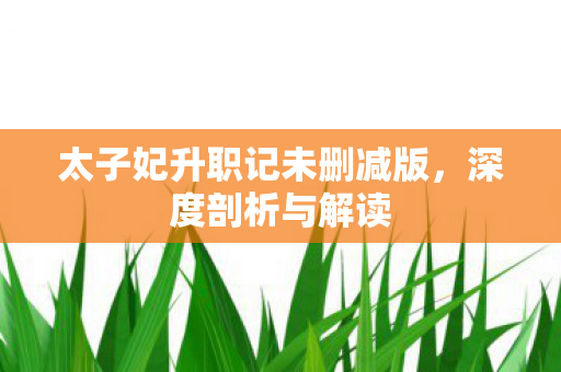 太子妃升职记未删减版,深度剖析与解读 太子妃升职记未删减版,深度剖析与解读