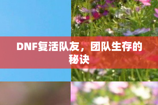 DNF复活队友，团队生存的秘诀