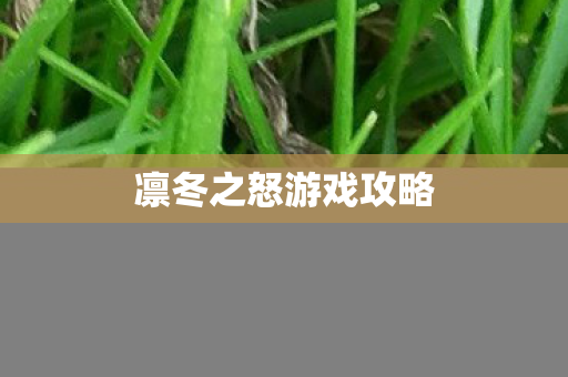 凛冬之怒游戏攻略