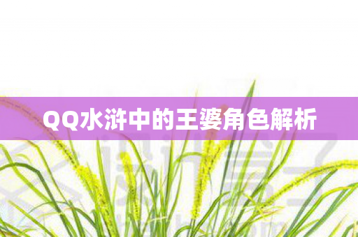 QQ水浒中的王婆角色解析