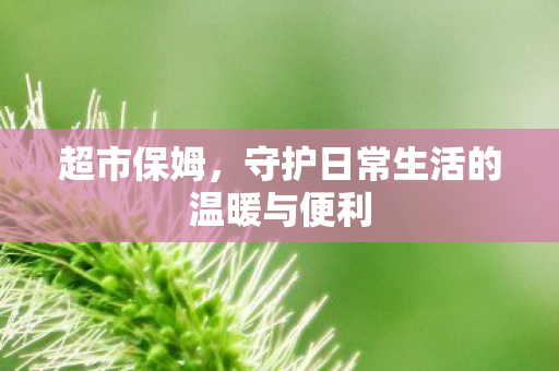 超市保姆，守护日常生活的温暖与便利