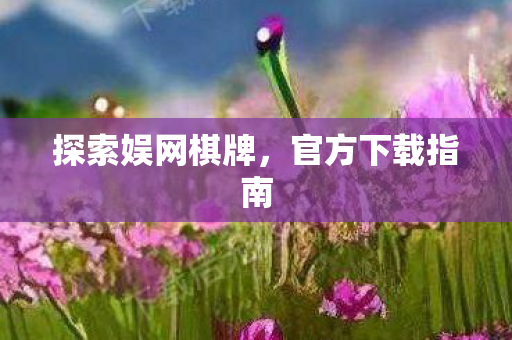 探索娱网棋牌,官方下载指南 探索娱网棋牌,官方下载指南