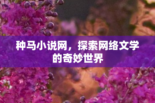 种马小说网，探索网络文学的奇妙世界