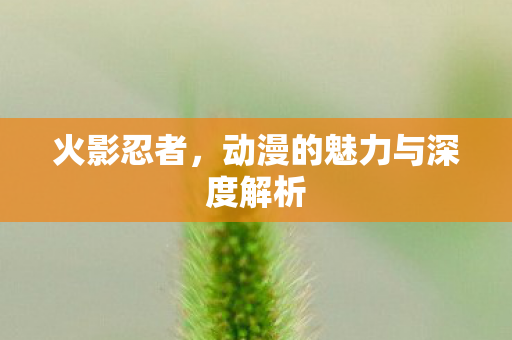 火影忍者，动漫的魅力与深度解析