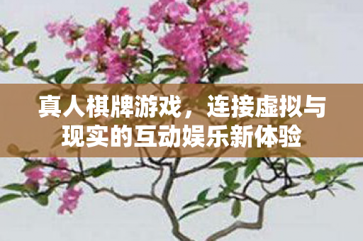 真人棋牌游戏，连接虚拟与现实的互动娱乐新体验